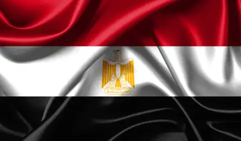 منظومة «الحراسة» في ثورة يناير