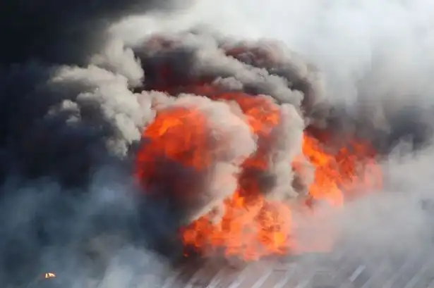 شركة الماسة للأمن والخدمات ش.م.م - أمن وحراسة - خدمات امنية