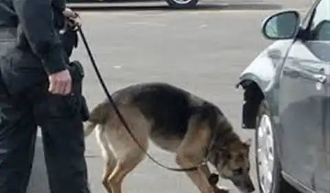 من «بوابة الفجر» : شعبة الحراسة : استعدادات أمنية مكثفة لـ«الداخلية» لتأمين 25 يناير