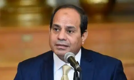 شركة الماسة للأمن والخدمات ش.م.م - أمن وحراسة - خدمات امنية