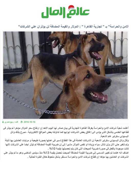 «الامن والحراسة» بـ «تجارية القاهرة» : الدولار والقيمة المضافة لن يؤثران علي الشركات