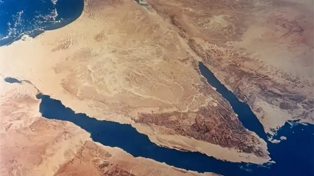 شركة الماسة للأمن والخدمات ش.م.م - أمن وحراسة - خدمات امنية