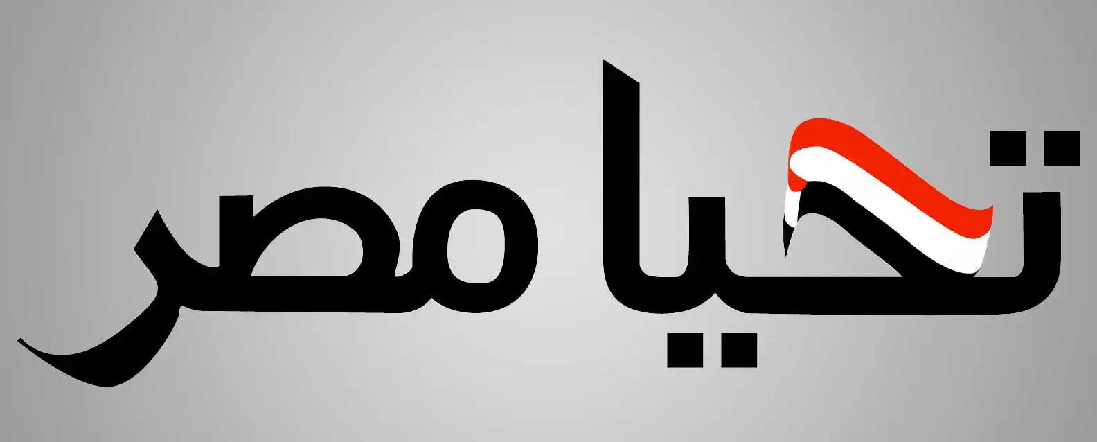 شركة الماسة للأمن والخدمات ش.م.م - أمن وحراسة - خدمات امنية