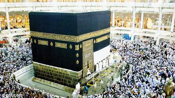 شركة الماسة للأمن والخدمات ش.م.م - أمن وحراسة - خدمات امنية