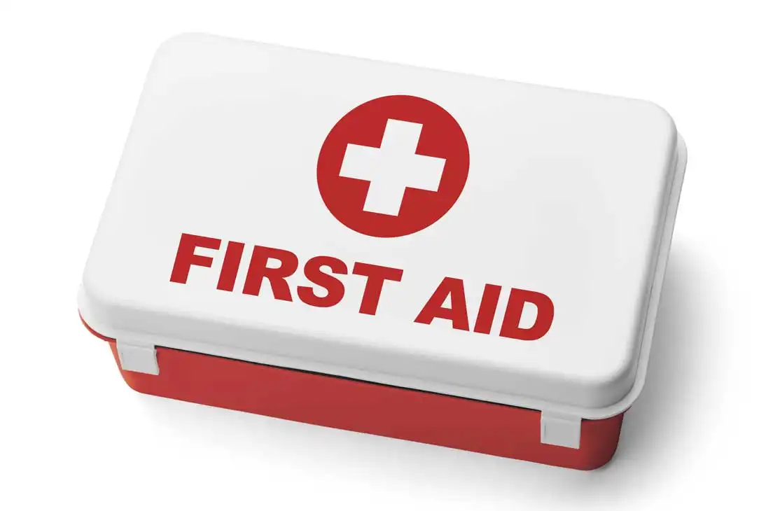 شركة الماسة للأمن والخدمات ش.م.م - أمن وحراسة - خدمات امنية