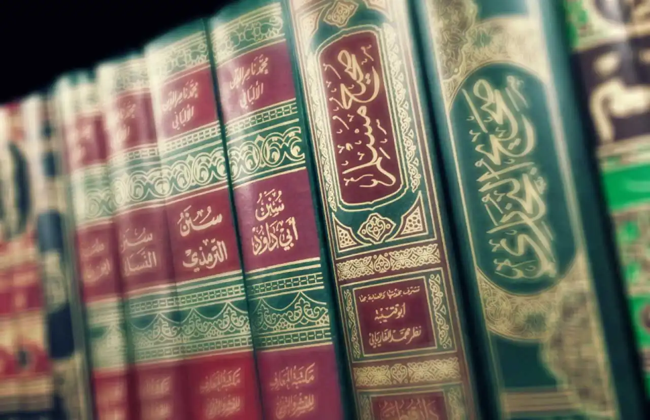 شركة الماسة للأمن والخدمات ش.م.م - أمن وحراسة - خدمات امنية