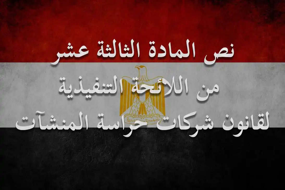 شركة الماسة للأمن والخدمات ش.م.م - أمن وحراسة - خدمات امنية